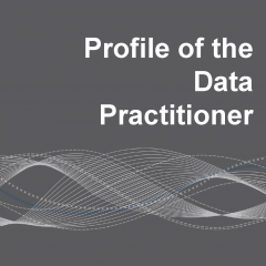Profile of the Data Practitioner image