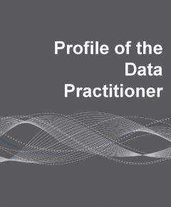 Image showing the cover page of the Profile of the Data Practitioner.